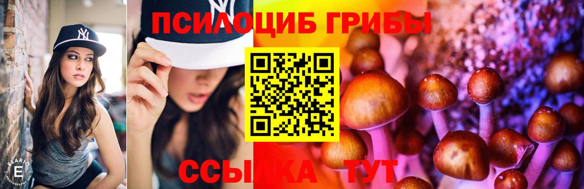 купить  цена  Псилоцибиновые грибы Magic Shrooms  Вход с VPN  Ангарск  Псилоцибиновые грибы мухоморы 